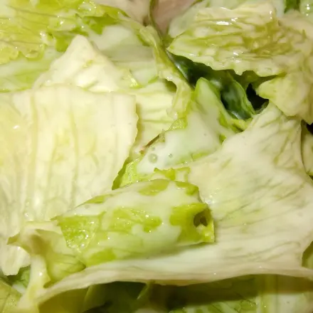 Milchaufschäumer für Salatdressing oder Gesichtsmasken