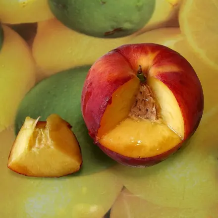 Pfirsiche und Nektarinen schneiden