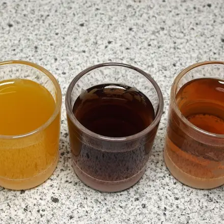 Leckerer Trank gegen Durchfall und Erbrechen