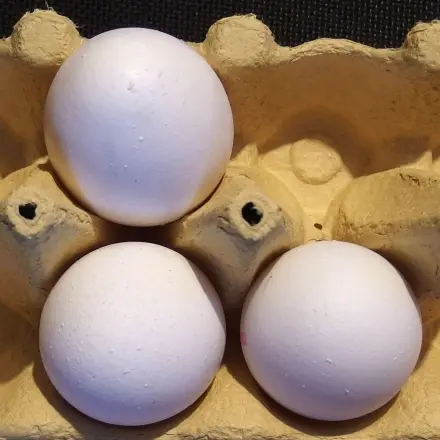 Eier von "alten Hennen" - Vorsicht