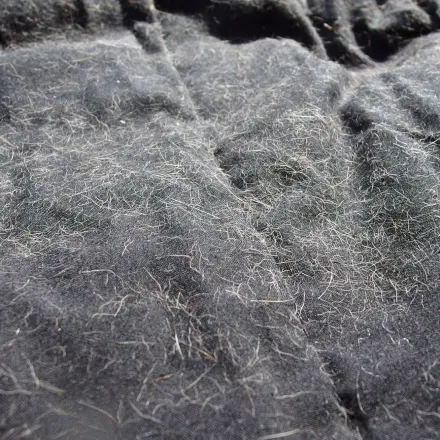 Tierhaare und andere Fussel auf Kleidung: Wasser