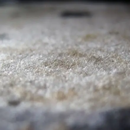 Flecken auf dem Teppich