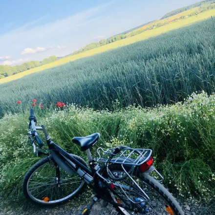 Fahrrad sicher im Fahrradständer