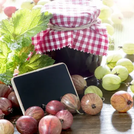 Rote Stachelbeer-Konfitüre mit "Vanille-Zimt"