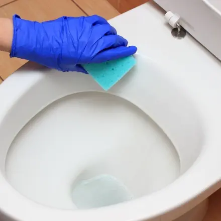 Hartnäckiger Kalk im Toilettenbecken