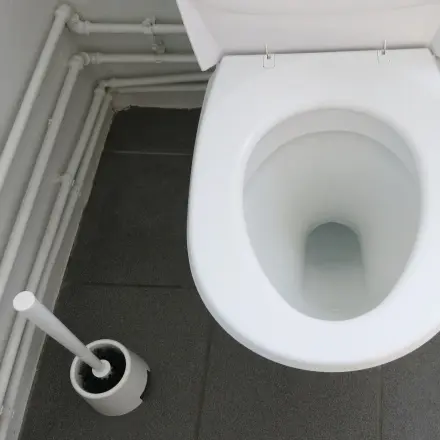 Ränder im WC mit Scheuerpulver und Korken entfernen