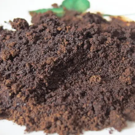 Kaffeepulver gegen Kühlschrankgerüche