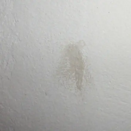 Fettflecken an der Wand