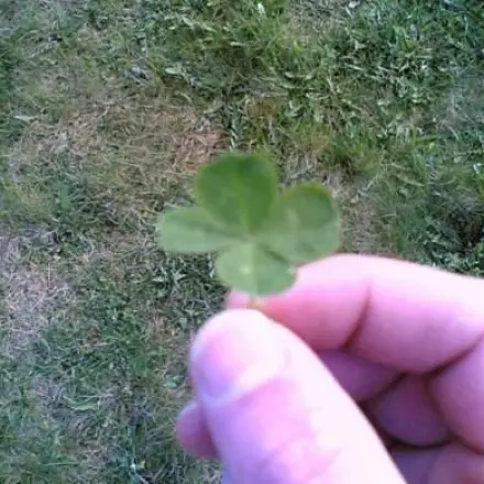 Das "Glück" finden, leicht gemacht!