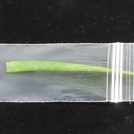 Aloe Vera einfrieren und als Hautcreme verwenden