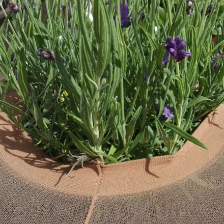 Blumenerde vor Kindern und Katzen sicher mit Strumpfhose