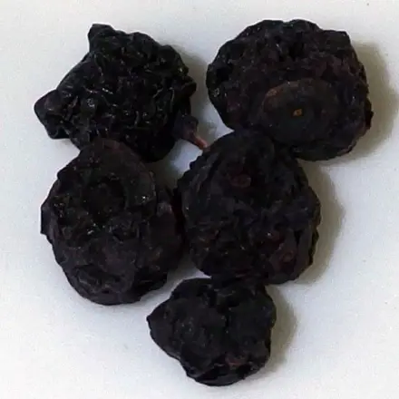 Durchfall: 5-Minuten-Hilfe Heidelbeeren