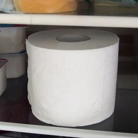 Klopapier gegen Kühlschrankgeruch