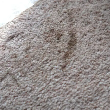 Flecken im Teppich weg mit Backpulver, Hefepulver und Milch