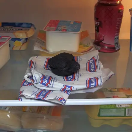 Unangenehme Gerüche im Kühlschrank