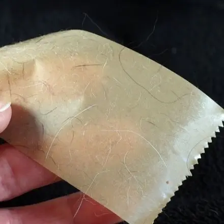 Tierhaare kostenfrei entfernen