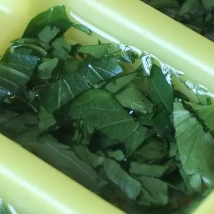 Petersilie aufbewahren