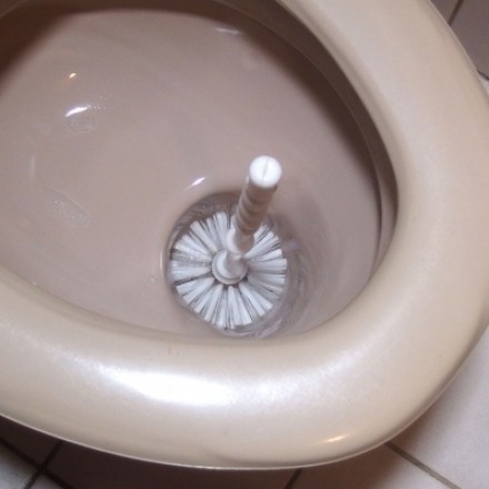 Klobürste reinigen beim Toilette reinigen