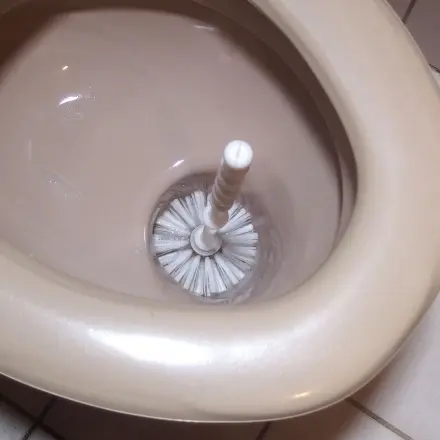 Klobürste reinigen beim Toilette reinigen