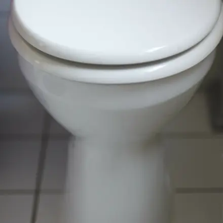 Hartnäckiger Kalk in Toilette weg - in 5 Minuten