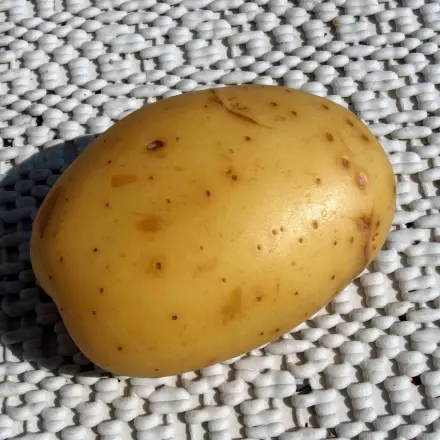 Kartoffeln gegen Spinatflecken