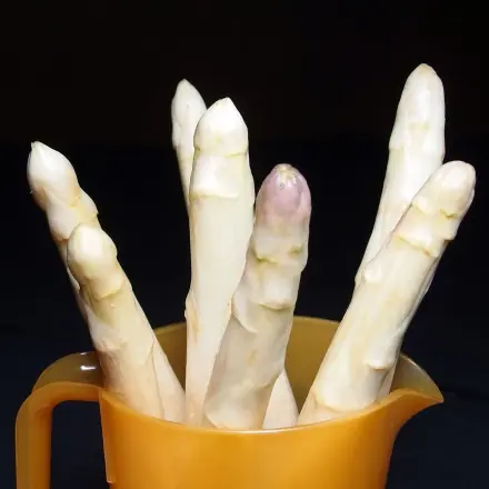 Spargel frisch halten - wie Blumen