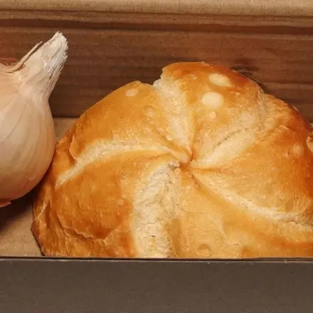 Zwiebel keimen nicht im Karton mit Brötchen