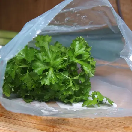 Petersilie bleibt frisch
