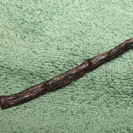 Resteverwertung einer Vanilleschote