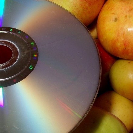 Fruchtfliegenfalle mit CD-ROM
