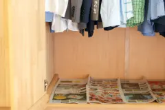 Gefr&auml;&szlig;ige Motten