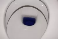 Toilettenbürste "automatisch" reinigen