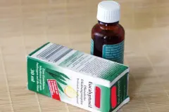 Eukalyptus&ouml;l als Schleiml&ouml;ser