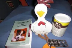 Meine gesammelten Erkenntnisse zum Thema: Katze hat Durchfall