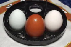 Ei pellen leicht gemacht