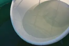 Schneller putzen mit "Spezial"-Wischwasser
