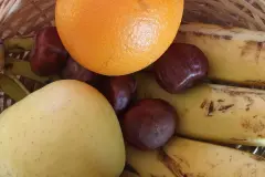 Kastanien gegen Obst-/Fruchtfliegen