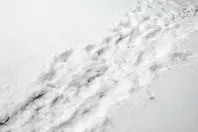 Schnee-Trampelpfad geschickt ohne Schaufel erstellen