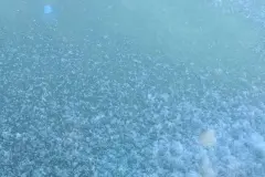 Keine vereisten Scheiben mehr im Auto