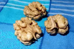 Waln&uuml;sse als Ganzes aus der Schale bekommen