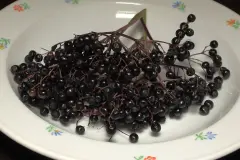 Holundersirup aus Beeren