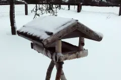 Alten Menschen eine Freude machen