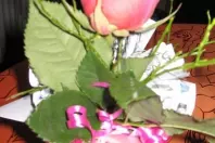 Geldgeschenk mit CD und Rose