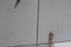 Bohrlöcher im Badezimmer kaschieren