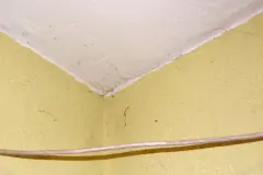 Spinnweben entfernen - schnell & gründlich