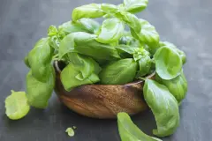 Basilikum richtig gie&szlig;en - l&auml;ngere Haltbarkeit