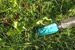 "Gartenh&auml;nde" superschnell wieder sauber