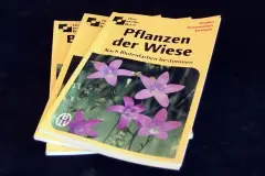 Alte Bücher kostenlos auf eine Reise senden & aufnehmen