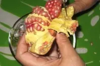Granatapfelkerne super einfach aus der Schale lösen