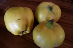 Quittenmarmelade